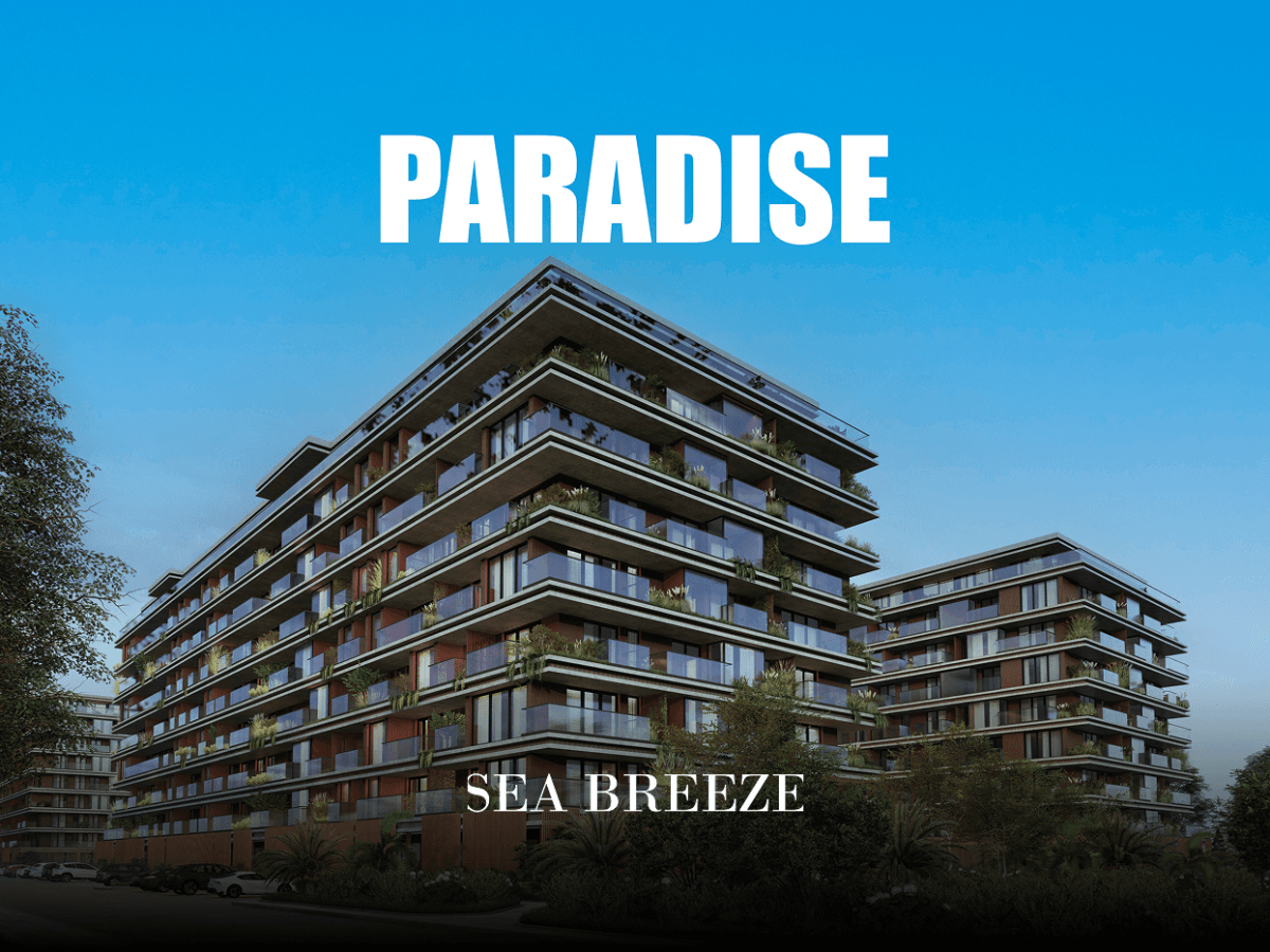 Paradise